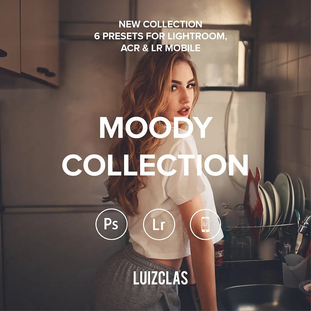 Luizclas – Moody Collection Presets