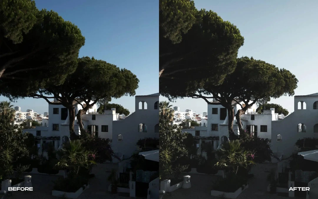 Fujifilm Simulations – Lightroom Presets – Summer X100V
