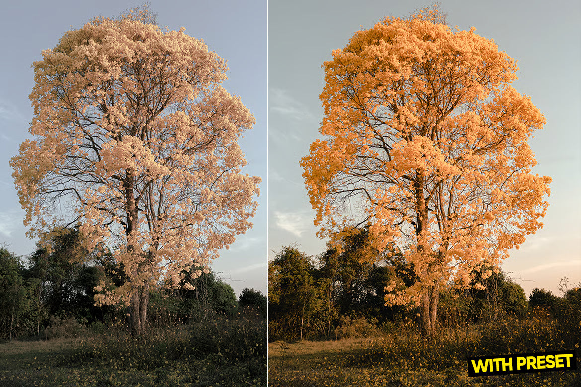ARTA – Raw Layer Lightroom Preset Pack (Desktop & Mobile)