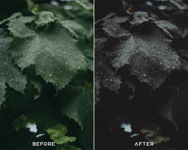 Dark Brown Preset & LUTs Collection – Moody Outdoor Aesthetics