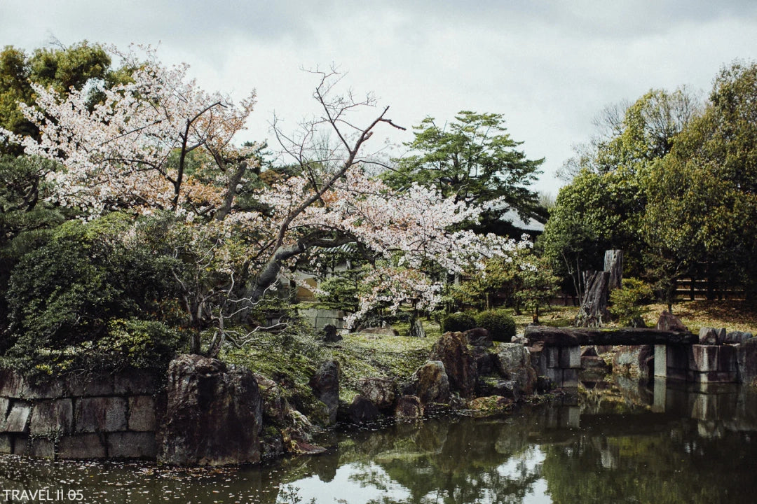 Vivid Presets – TRAVEL II COLLECTION | Adventure & Landscape Lightroom Presets