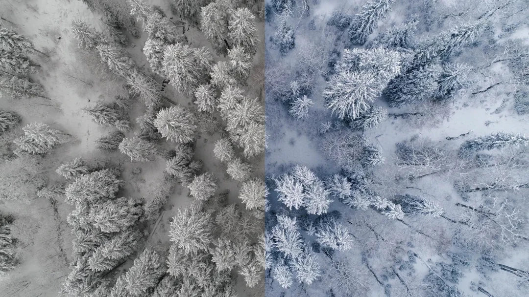 GNProduction – D-Cinelike Drone Winter LUT | Cinematic LUT for Snow & Cold Weather Scenes