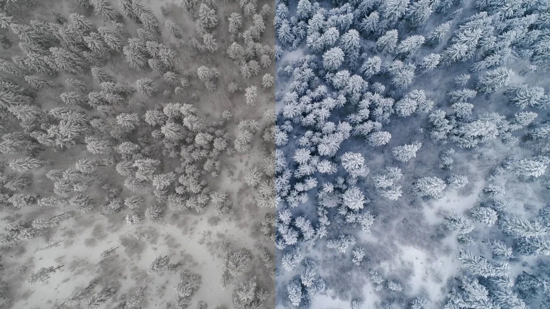 GNProduction – D-Cinelike Drone Winter LUT | Cinematic LUT for Snow & Cold Weather Scenes