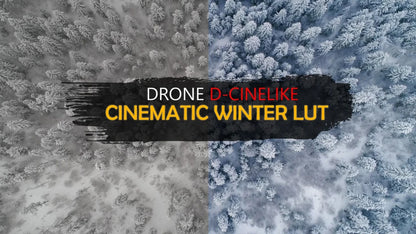 GNProduction – D-Cinelike Drone Winter LUT | Cinematic LUT for Snow & Cold Weather Scenes