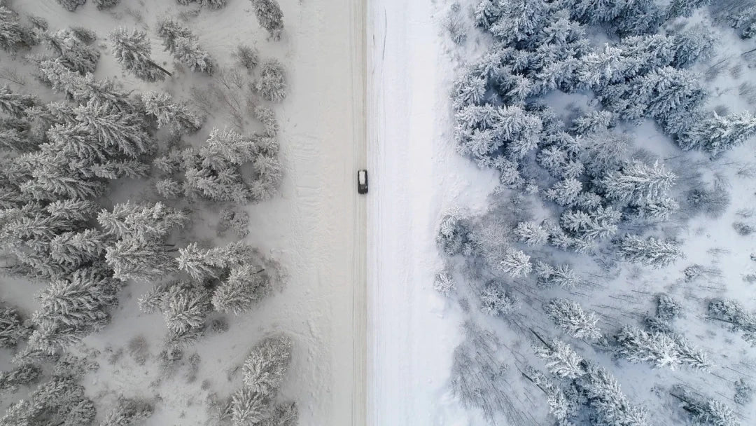 GNProduction – D-Cinelike Drone Winter LUT | Cinematic LUT for Snow & Cold Weather Scenes