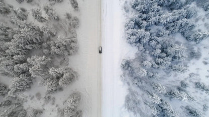 GNProduction – D-Cinelike Drone Winter LUT | Cinematic LUT for Snow & Cold Weather Scenes