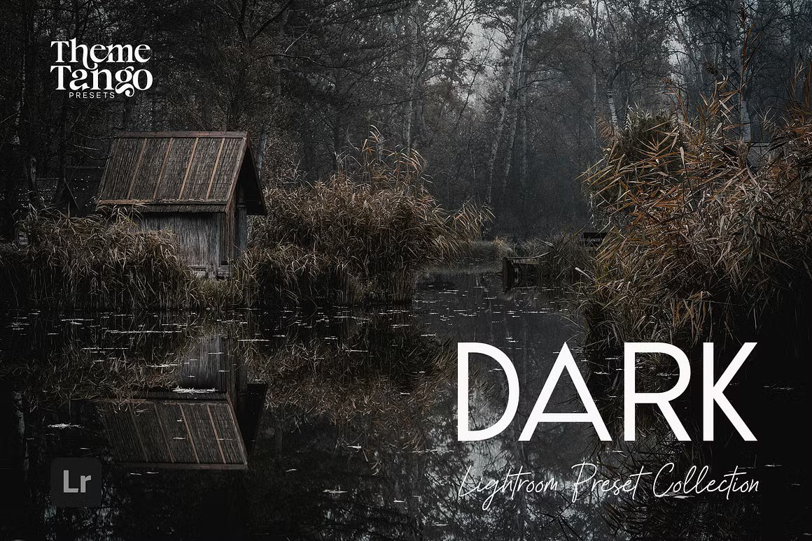 CreativeMarket – 14 Dark & Moody Lightroom Presets