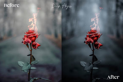 CreativeMarket – 14 Dark & Moody Lightroom Presets