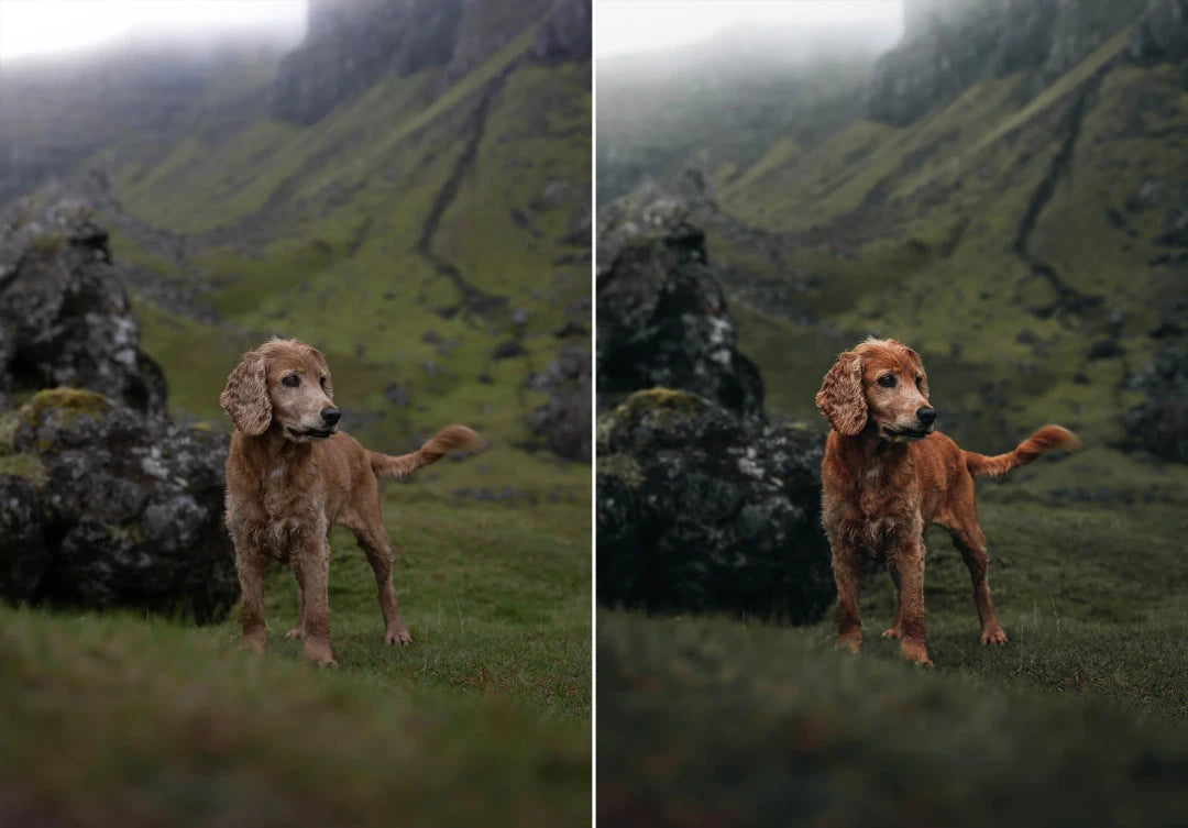 WithLuke – The Master Collection 2022 (150 Lightroom Presets)