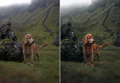 WithLuke – The Master Collection 2022 (150 Lightroom Presets)