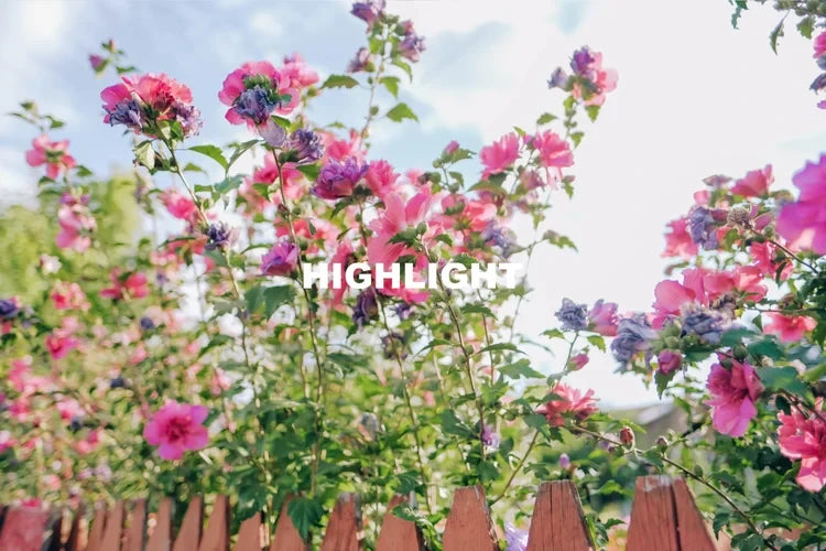 Vuhlandes – Fresh Air Presets