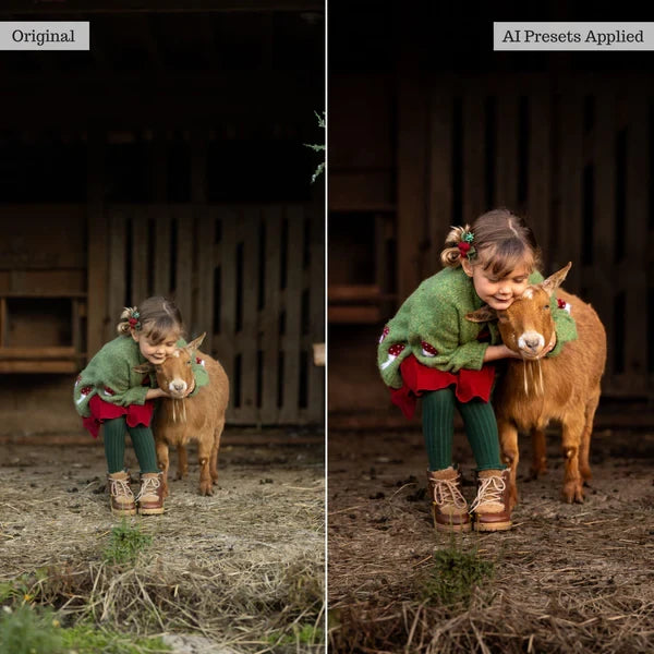 The Luxe Lens – Luxe Quick Fix AI Toolkit (Adaptive Lightroom Presets)