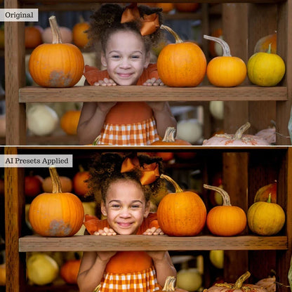 The Luxe Lens – Luxe Quick Fix AI Toolkit (Adaptive Lightroom Presets)