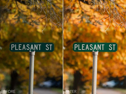 Sean Dalton – Autumn Glow Preset Pack (Lightroom Mobile & Desktop Presets)