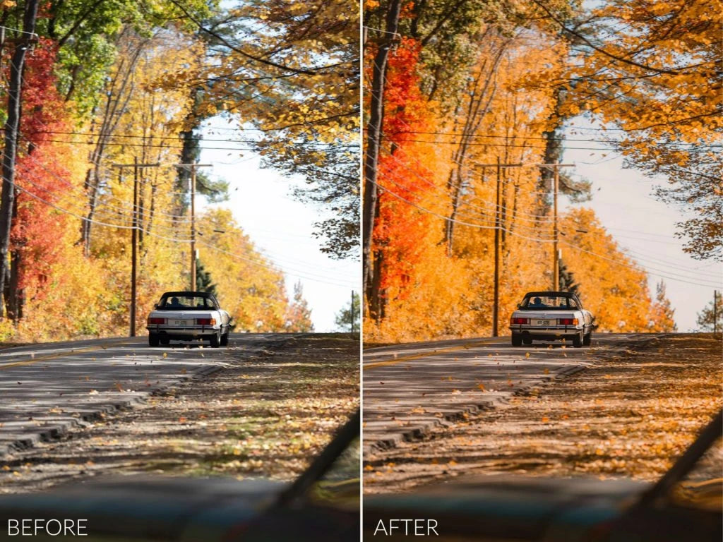 Sean Dalton – Autumn Glow Preset Pack (Lightroom Mobile & Desktop Presets)