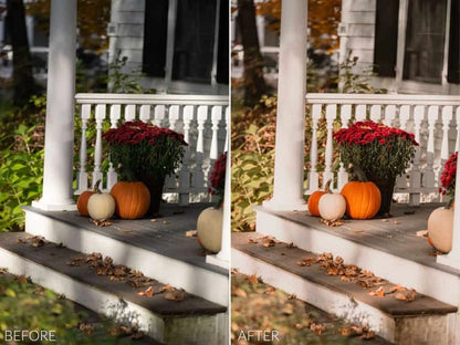 Sean Dalton – Autumn Glow Preset Pack (Lightroom Mobile & Desktop Presets)
