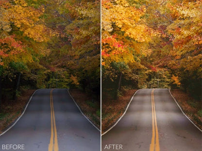 Sean Dalton – Autumn Glow Preset Pack (Lightroom Mobile & Desktop Presets)