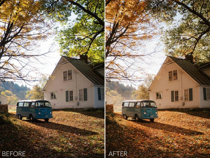 Sean Dalton – Autumn Glow Preset Pack (Lightroom Mobile & Desktop Presets)