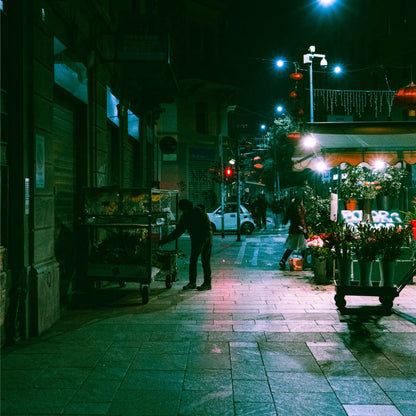 Be Truly Wild – Cinematic Lightroom Presets for Night & Day Photography