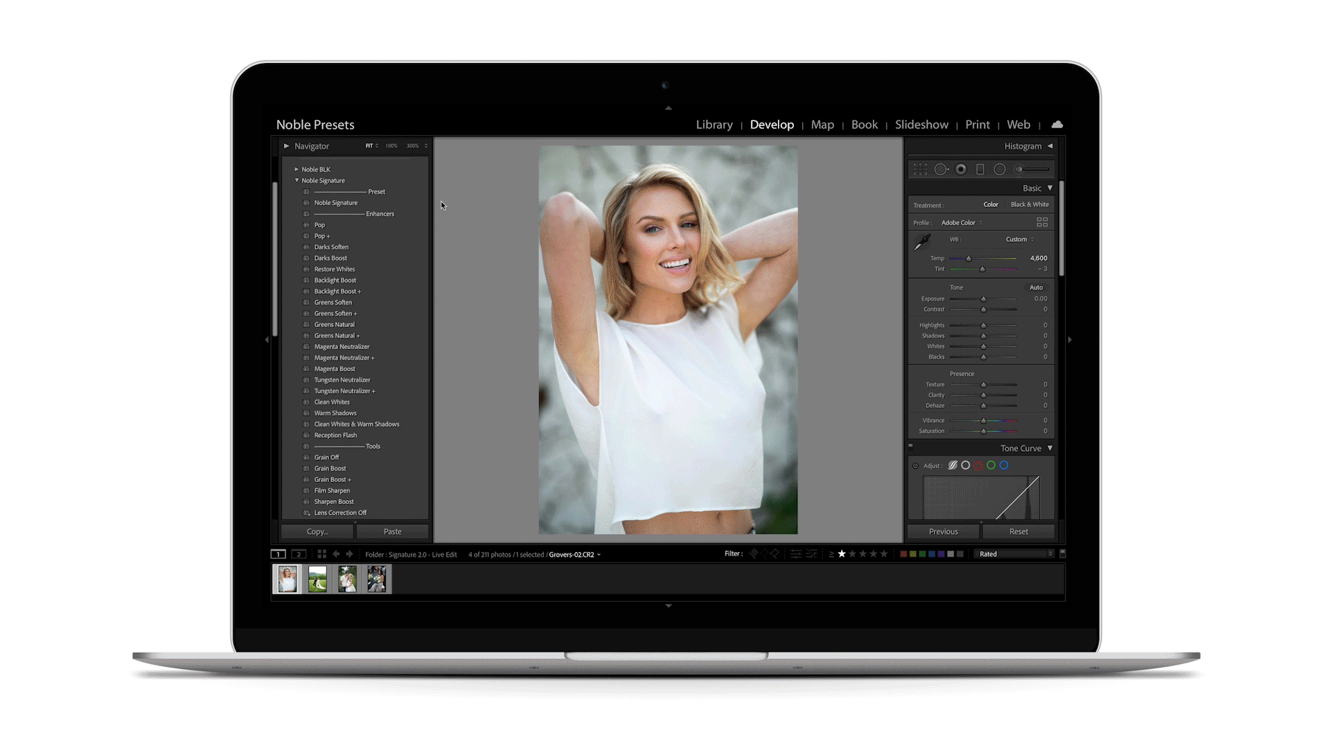 Noble Signature For Desktop Lightroom Presets