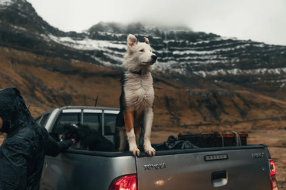 Michiel Pieters – Photography & Videography Preset Pack