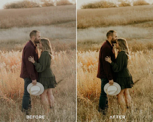 Instant Film Preset & LUTs Collection – Classic Polaroid Aesthetic