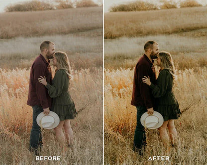 Instant Film Preset & LUTs Collection – Classic Polaroid Aesthetic