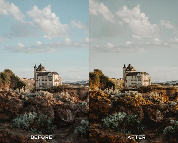 Instax Preset & LUTs Collection – Vintage Instant Film Look