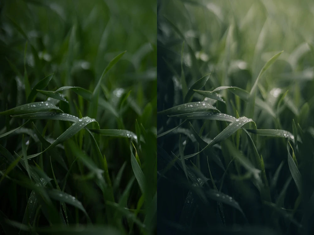 Michael Kagerer – Master Collection Presets