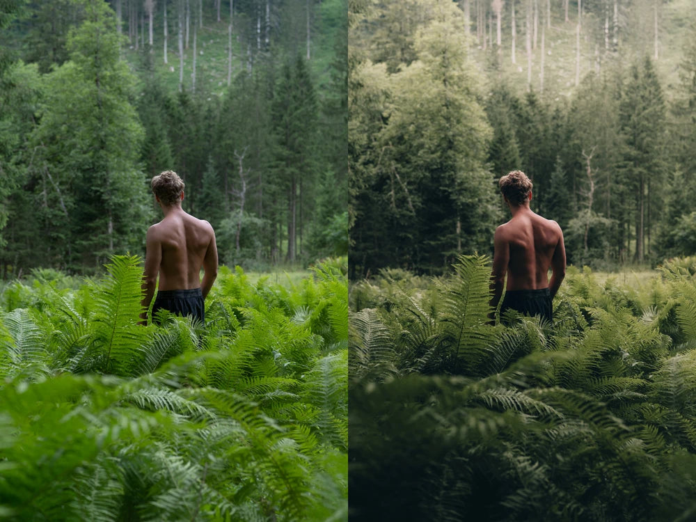 Michael Kagerer – Master Collection Presets