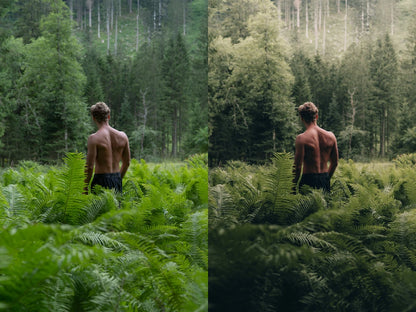 Michael Kagerer – Master Collection Presets