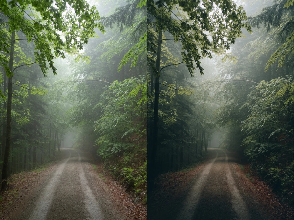 Michael Kagerer – Master Collection Presets