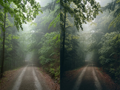 Michael Kagerer – Master Collection Presets