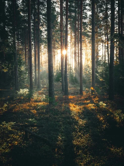 Air Pixels – Lightroom Presets by Tobias Hägg