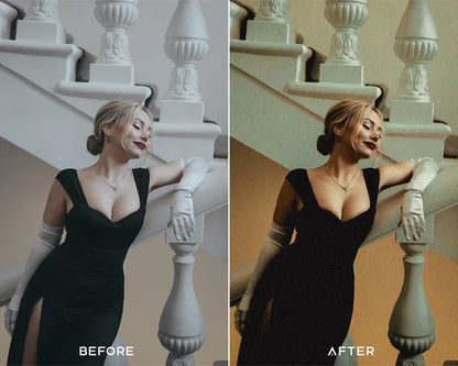 Memoir — Timeless Vintage Presets & LUTs