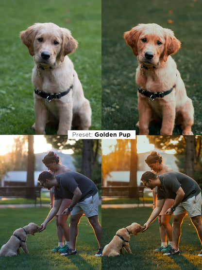 Justin Veenema – Ultimate Preset Bundle