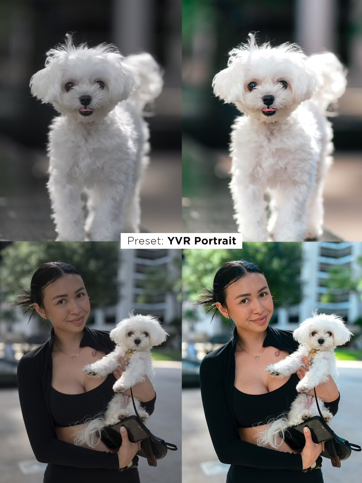 Justin Veenema – Ultimate Preset Bundle