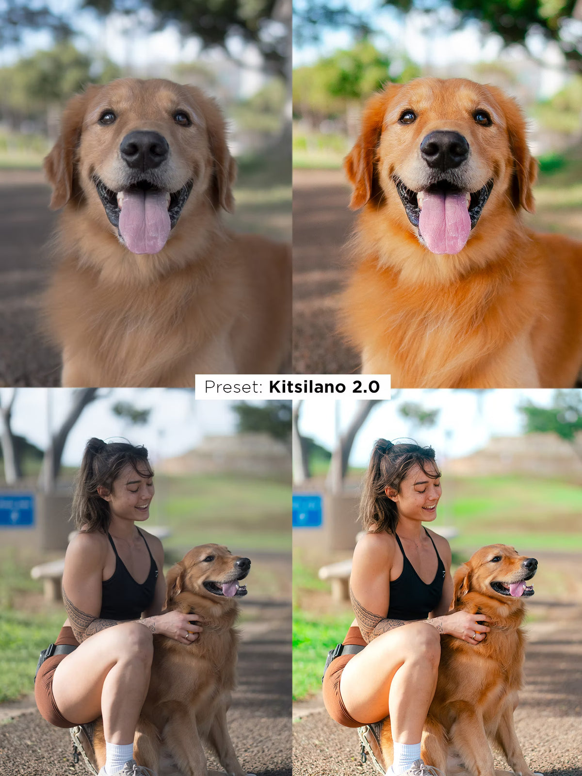 Justin Veenema – Ultimate Preset Bundle