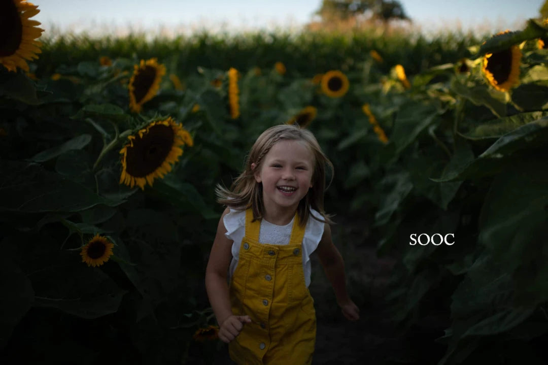Harvest Matte Presets – (Twig & Olive)