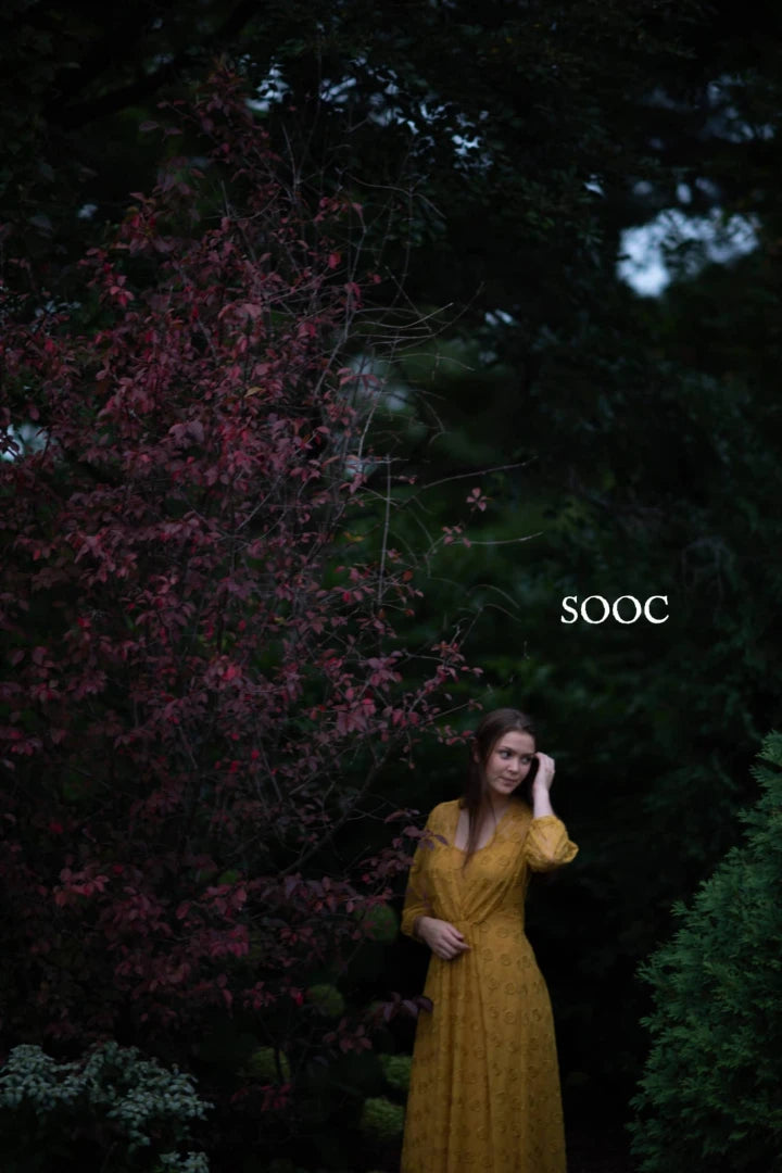 Harvest Matte Presets – (Twig & Olive)