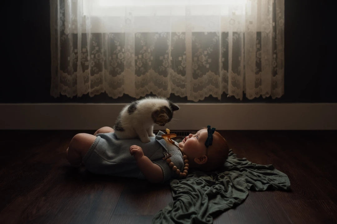 Meridian Presets – Meg Loeks – Solstice