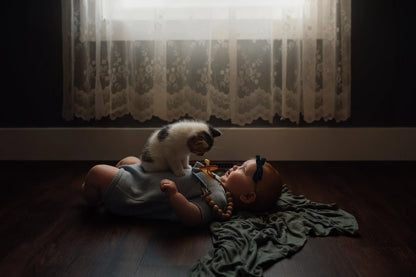 Meridian Presets – Meg Loeks – Solstice