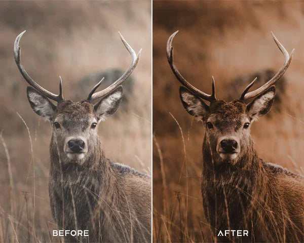 Moody Brown Preset & LUTs Collection – Rich Cinematic Browns for Photo & Video