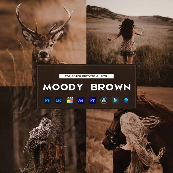Moody Brown Preset & LUTs Collection – Rich Cinematic Browns for Photo & Video