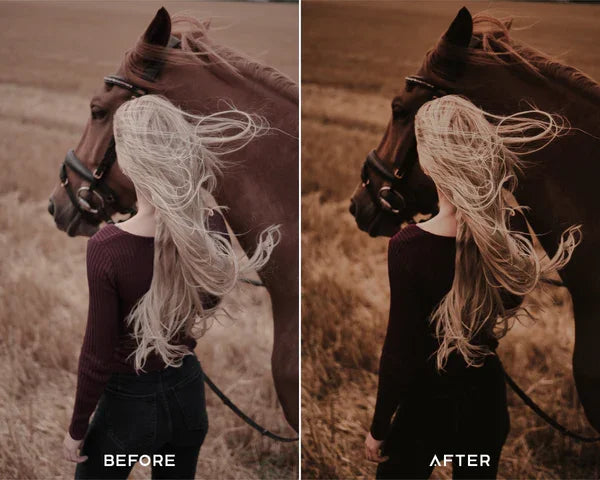 Moody Brown Preset & LUTs Collection – Rich Cinematic Browns for Photo & Video