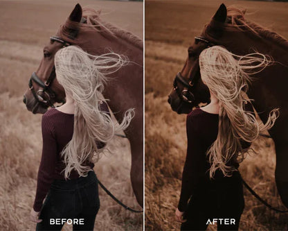 Moody Brown Preset & LUTs Collection – Rich Cinematic Browns for Photo & Video