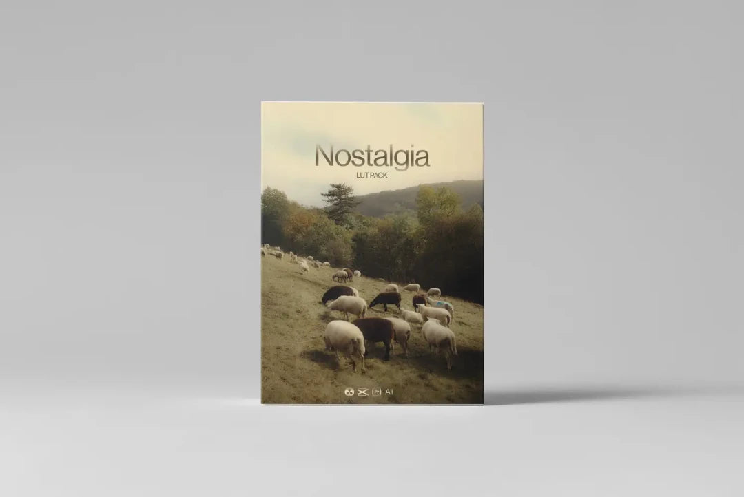 JULIAN PAPIS – Nostalgia LUT Pack