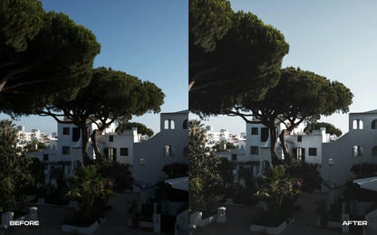 Fujifilm Simulations – Lightroom Presets – Summer X100V