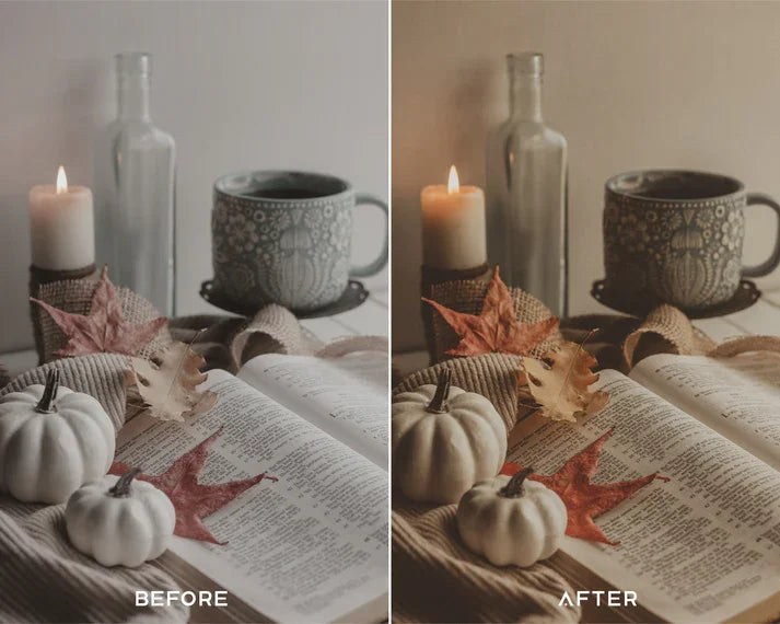 Rome Preset & LUTs Collection (Vintage Retro Aesthetics)