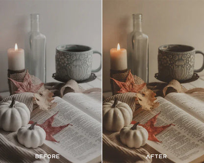 Rome Preset & LUTs Collection (Vintage Retro Aesthetics)